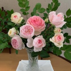 キリストの証人としての新たな出発